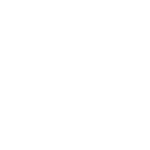 Wolf Art